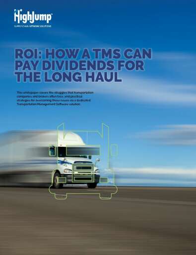 How a TMS Can Pay Dividends for the Long Haul White Paper